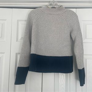Banana Republic Mock Neck Colorblock Knit Sweater